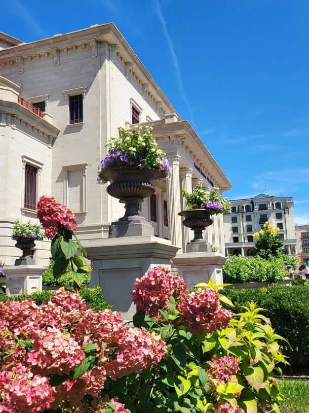 Daytime exterior of Payne & Mencias Palladium with blue skies and flowering pink hydranga