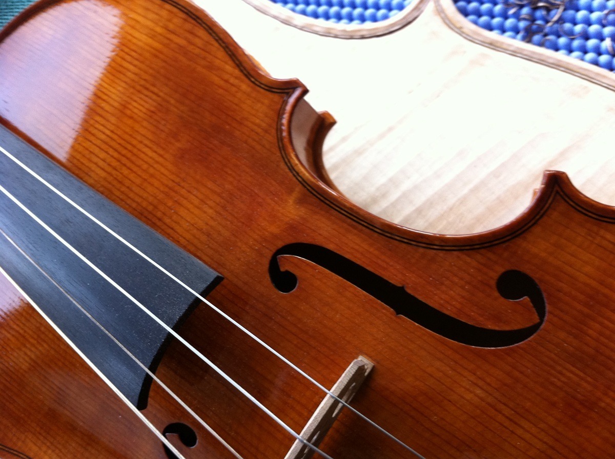 Photo of a Viola