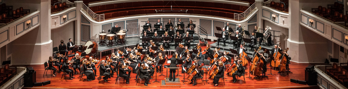 Home page slideshow with full orchestra on stage aat the Payne & Mencias Palladium sized 1200 x 307