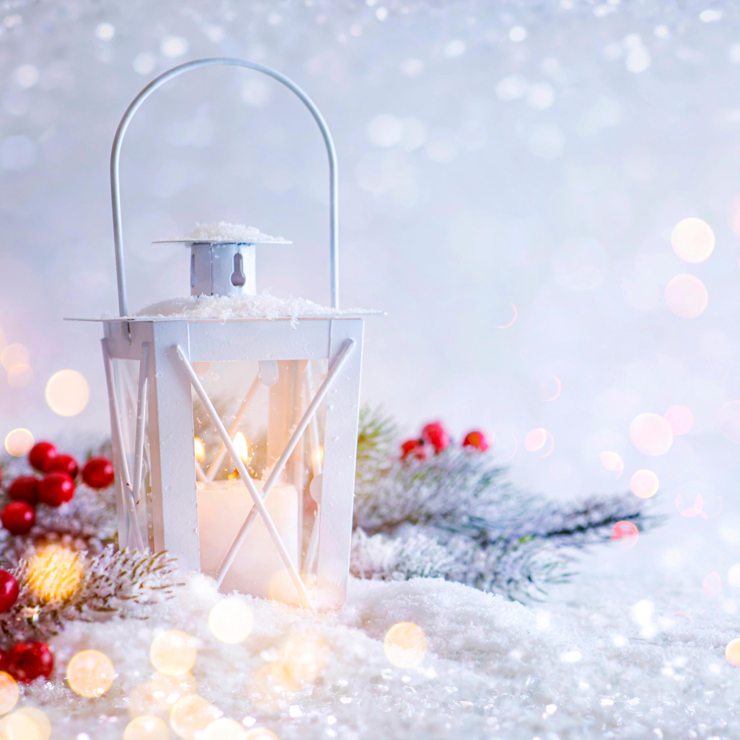 White snowy lantern in wintery setting with red berries